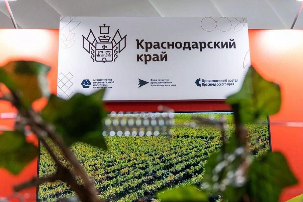 В Геленджике пройдет Международный форум «БИОПРОМ: промышленность и технологии для человека»  