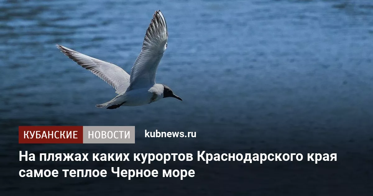 На пляжах каких курортов Краснодарского края самое теплое Черное море