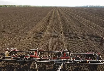 Кубанские аграрии засеяли озимыми культурами уже более 833 тысяч гектаров