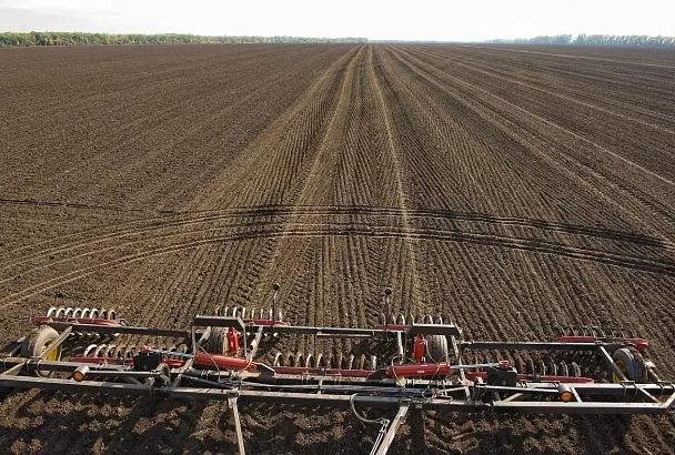 Кубанские аграрии засеяли озимыми культурами уже более 833 тысяч гектаров