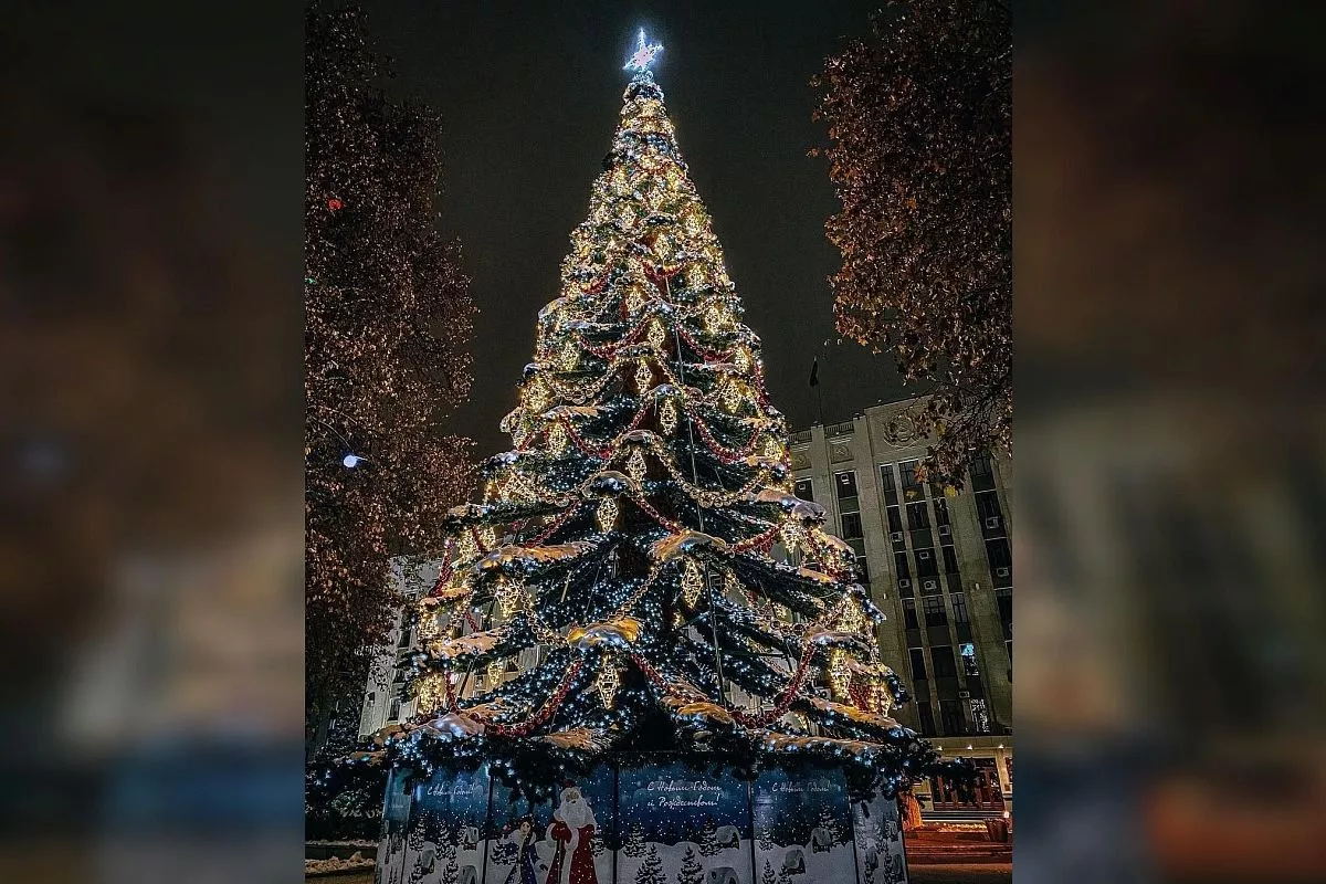 Елка возле здания администрации Краснодарского края Елка возле здания администрации Краснодарского края