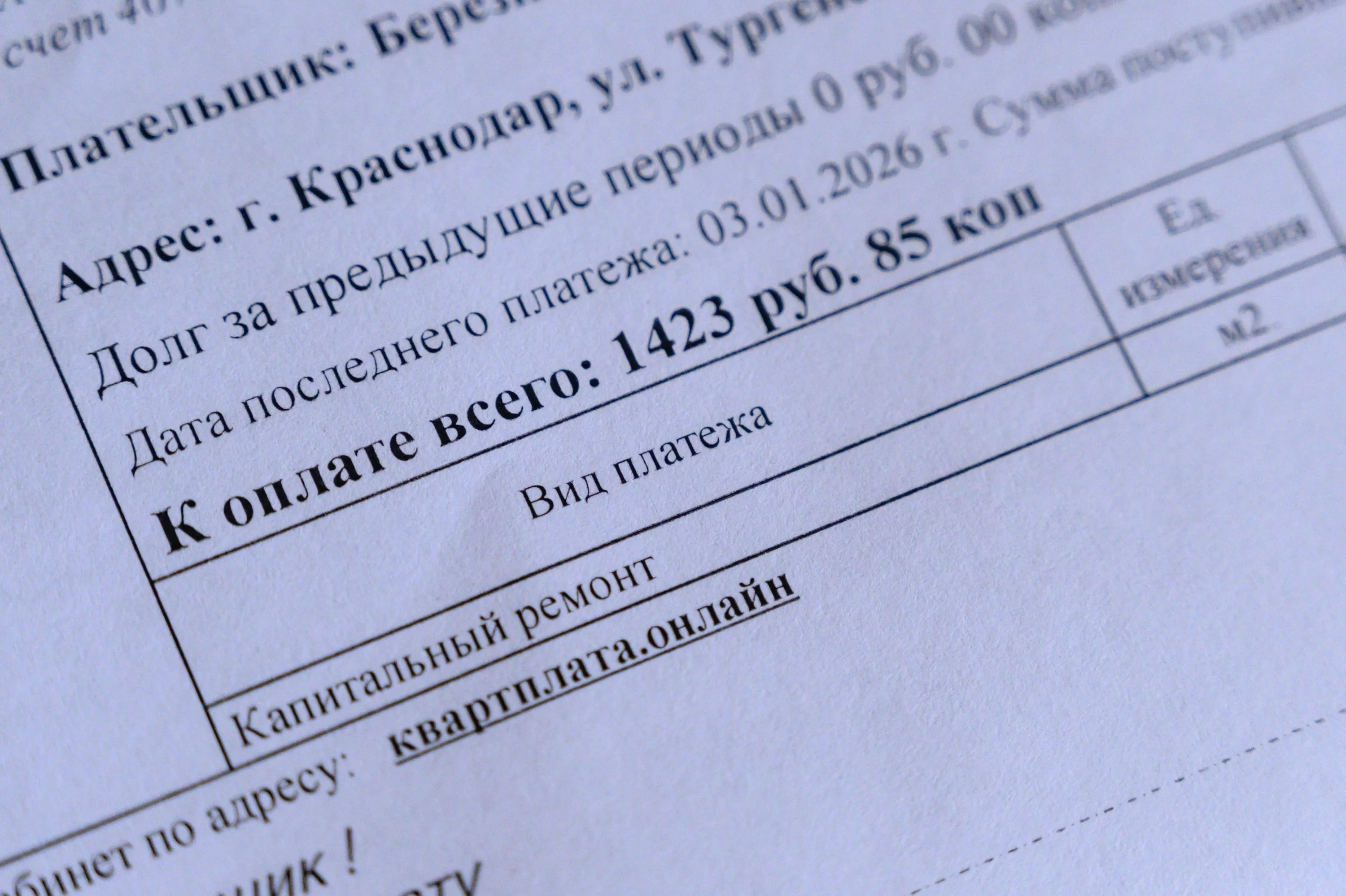 30 дней без пеней: как действовать, если не получается вовремя оплатить коммунальные услуги