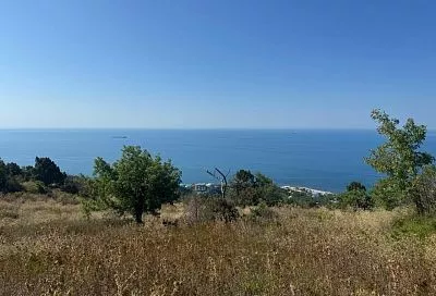 В Новороссийске создадут новый туристический маршрут от местной винодельни до пляжа 