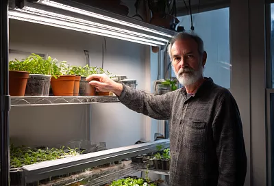 Как правильно подсвечивать рассаду: простые и дешёвые светильники, которые работают 30 лет