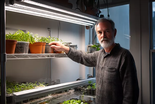 Как правильно подсвечивать рассаду: простые и дешёвые светильники, которые работают 30 лет