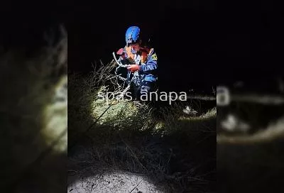 Спасатели помогли туристу, застрявшему ночью на крутом склоне в Анапе