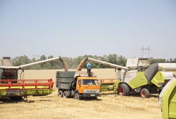 Кубань вышла в поле за большим хлебом