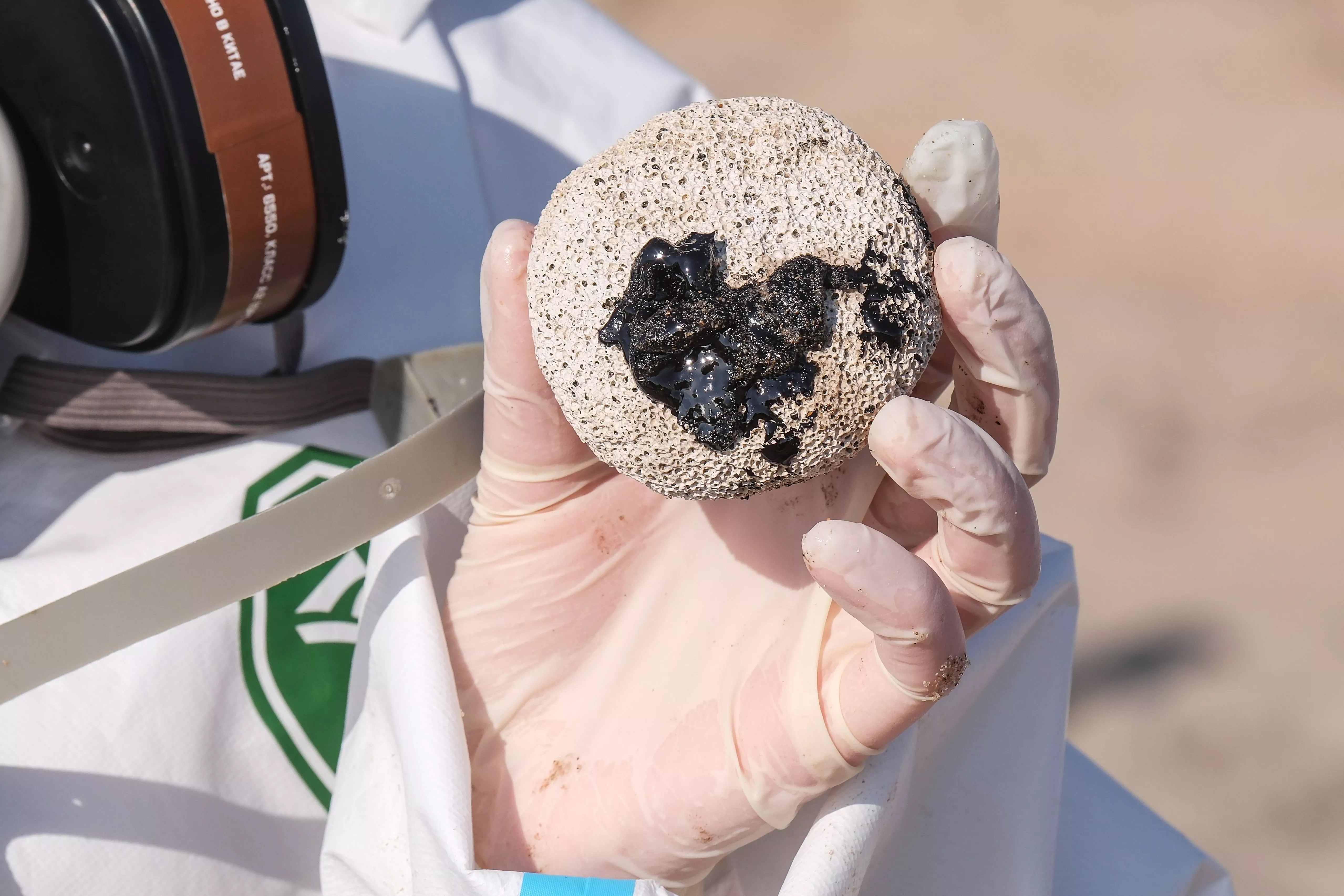 Краснодарский край показал самое заметное изменение в экорейтинге регионов России