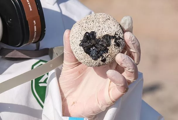 Краснодарский край показал самое заметное изменение в экорейтинге регионов России