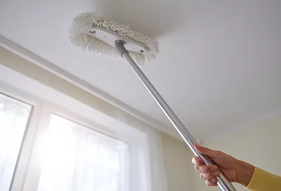 Пыль в доме не успевает осесть: главные укрытия и простые способы победить её навсегда 