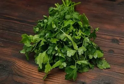 Самая ранняя петрушка: преимущества выращивания зелени через рассаду