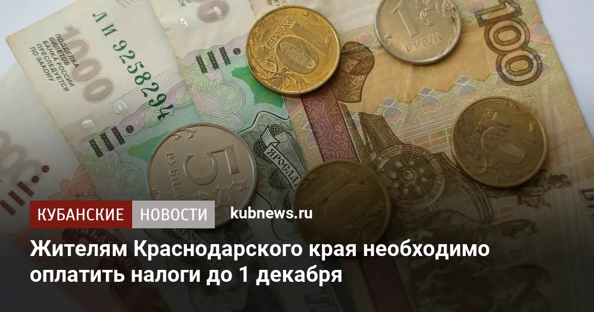 Жителям Краснодарского края необходимо оплатить налоги до 1 декабря