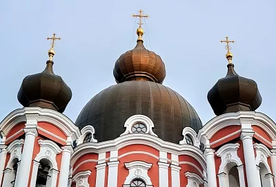 РПЦ поддержала запрет на вывоз эмбрионов и яйцеклеток за границу