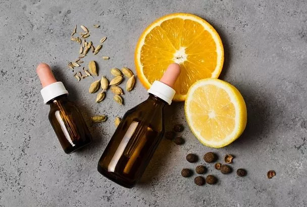 Семь экологичных способов отпугнуть от себя кровососущих насекомых во время прогулки по парку или на пикнике