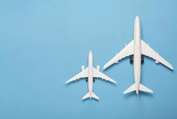 "Аэрофлот" вынужденно отменил рейс, после столкновения самолета с птицами