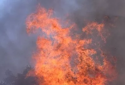 Из-за упавших обломков БПЛА вспыхнула сухая трава у железнодорожных путей в Крымском районе