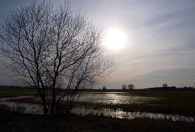 Народные приметы на сегодня – 20 марта, что можно и нельзя делать в день весеннего равноденствия 