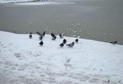 Народные приметы на сегодня – 25 февраля, что можно и нельзя делать в день Алексея рыбного по народному календарю