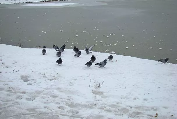 Народные приметы на сегодня – 25 февраля, что можно и нельзя делать в день Алексея рыбного по народному календарю