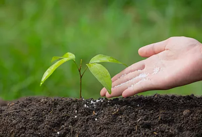 Туапсинский балкерный терминал сократил перевалку удобрений почти на 19%