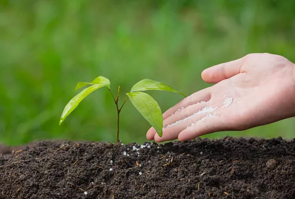 Туапсинский балкерный терминал сократил перевалку удобрений почти на 19%