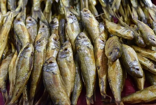 На юге изучают паразитов рыб