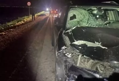 В Славянском районе пешеход погиб на дороге 