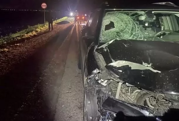 В Славянском районе пешеход погиб на дороге 