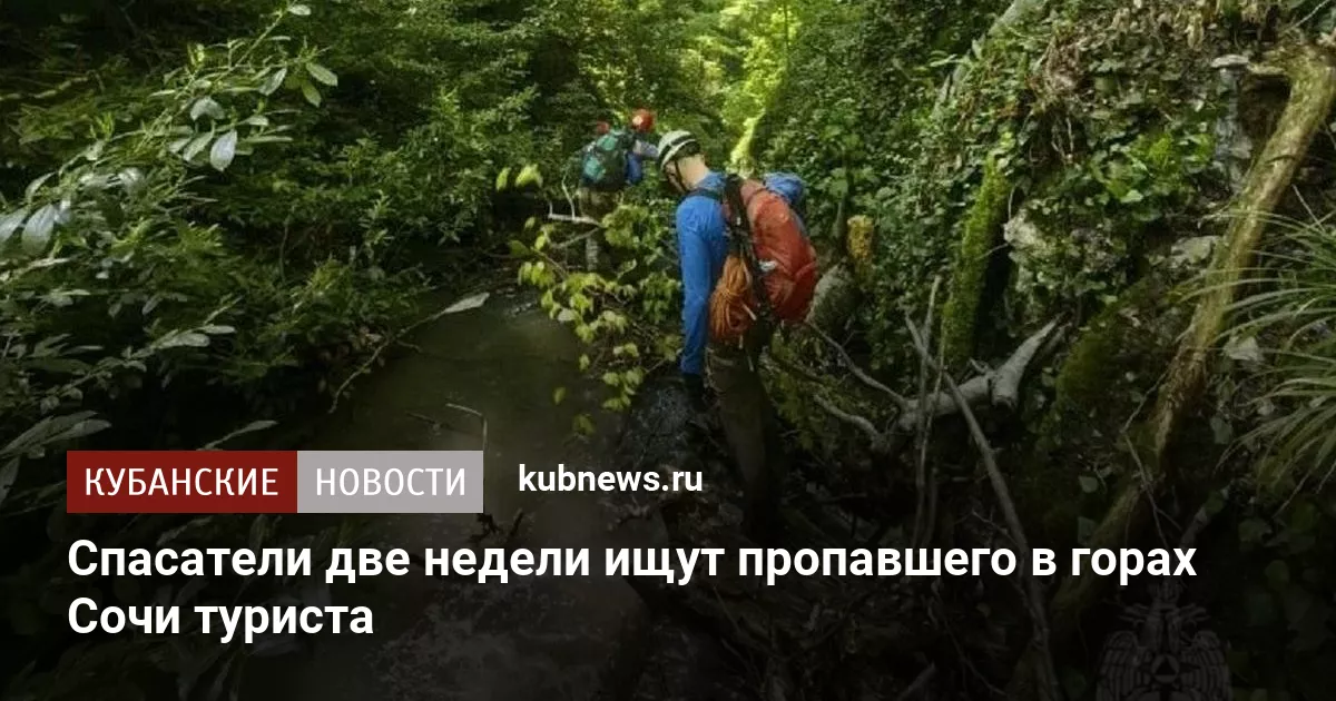 Спасатели две недели ищут пропавшего в горах Сочи туриста
