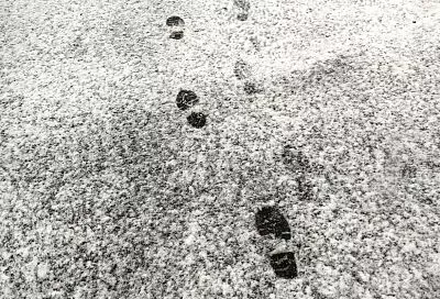 Мокрый снег, шквалистый ветер и гололед: Краснодар готовится к удару стихии