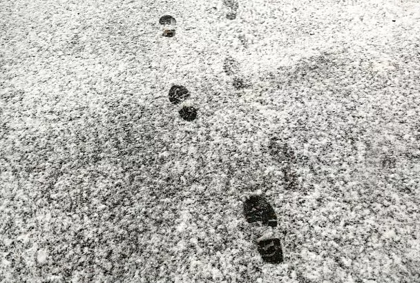 Мокрый снег, шквалистый ветер и гололед: Краснодар готовится к удару стихии