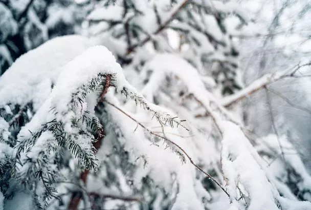 Новосибирск сковали 10-балльные пробки из-за снегопада и гололедицы