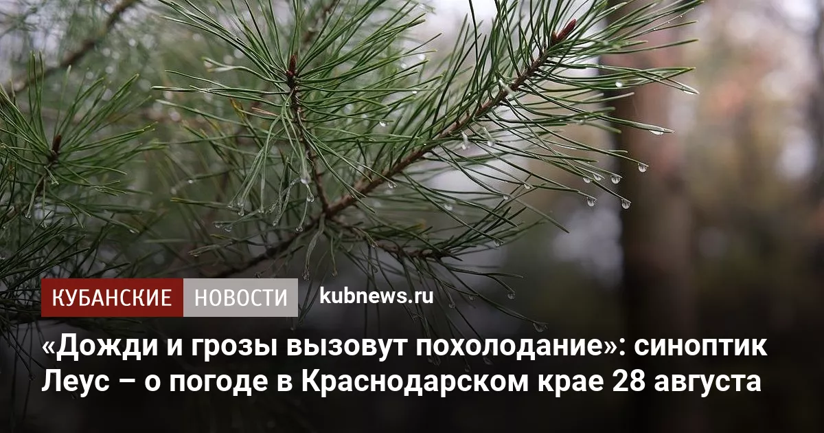 «Дожди и грозы вызовут похолодание»: синоптик Леус – о погоде в Краснодарском крае 28 августа
