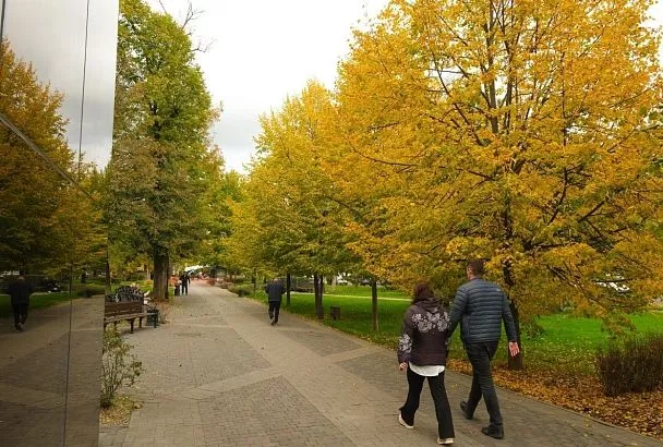 Сочи и Краснодар вошли в топ-5 популярных направлений для отдыха парами в ноябре