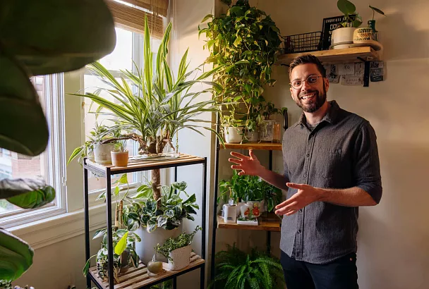 Топ самых живучих комнатных растений, которые не сдохнут даже у новичка