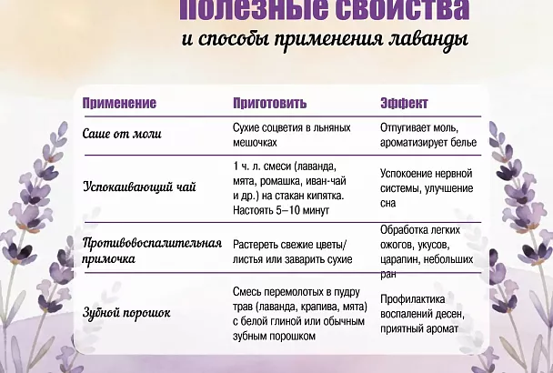 Что лечит лаванда: 3 проверенных рецепта для сна, кожи, зубов