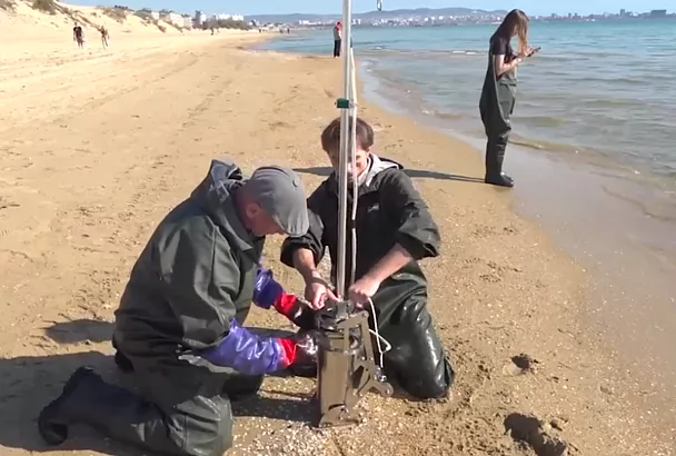 Ученые оценивают скорость восстановления морского дна после разлива мазута в Анапе