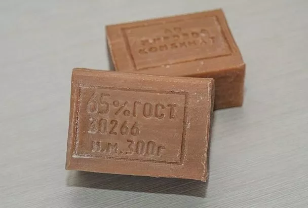 Против тли, слизней и других гадов: 5 способов применения хозяйственного мыла в огороде от наших прабабушек