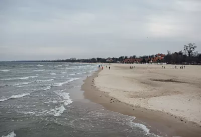 Суд оценил ущерб краснокнижным животным от разлива мазута в Анапе в 92 миллиона рублей