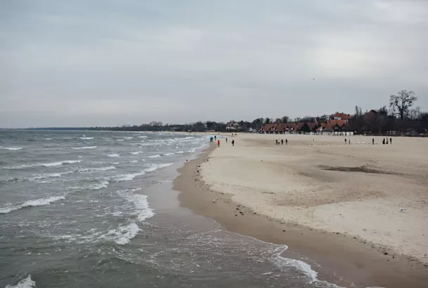 Суд оценил ущерб краснокнижным животным от разлива мазута в Анапе в 92 миллиона рублей