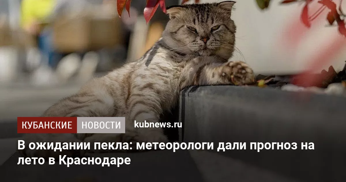 В ожидании пекла: метеорологи дали прогноз на лето в Краснодаре