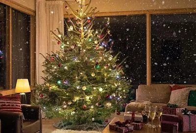 Украшаю елку, чтобы привлечь удачу: игрушки, цвет и стиль. Что предпочитает Огненная Лошадь