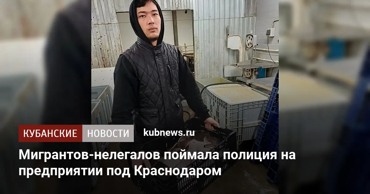 Мигрантов-нелегалов поймала полиция на предприятии под Краснодаром