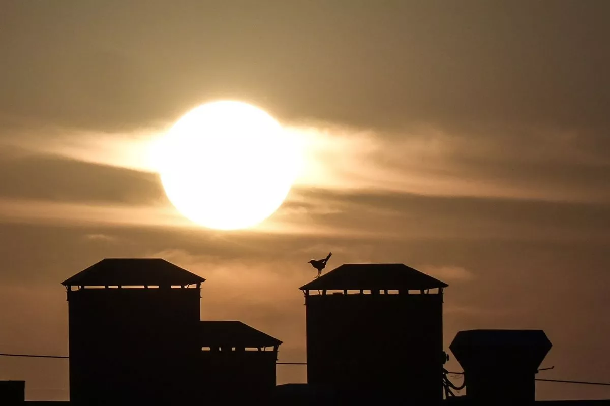 Активная область Солнца побила рекорд XXI века по количеству сильных вспышек