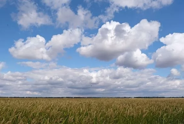 В Краснодарском крае объявили беспилотную опасность