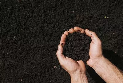 Узнайте состав своей почвы за 5 минут: ручной метод агронома Сергеева