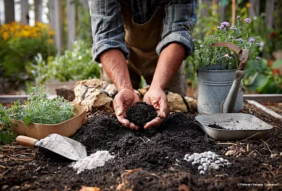 Старый добрый огород без химии: черви, сидераты и листья возвращают грунту силу
