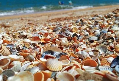 Азовское море сбавило градус на всем побережье Краснодарского края