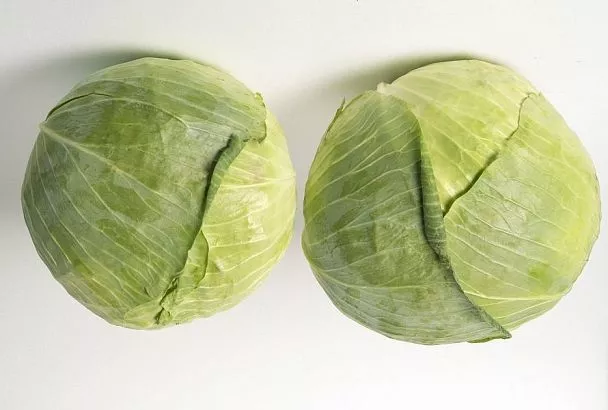 Правильная капуста: этот алгоритм поможет получить крупные и здоровые кочаны