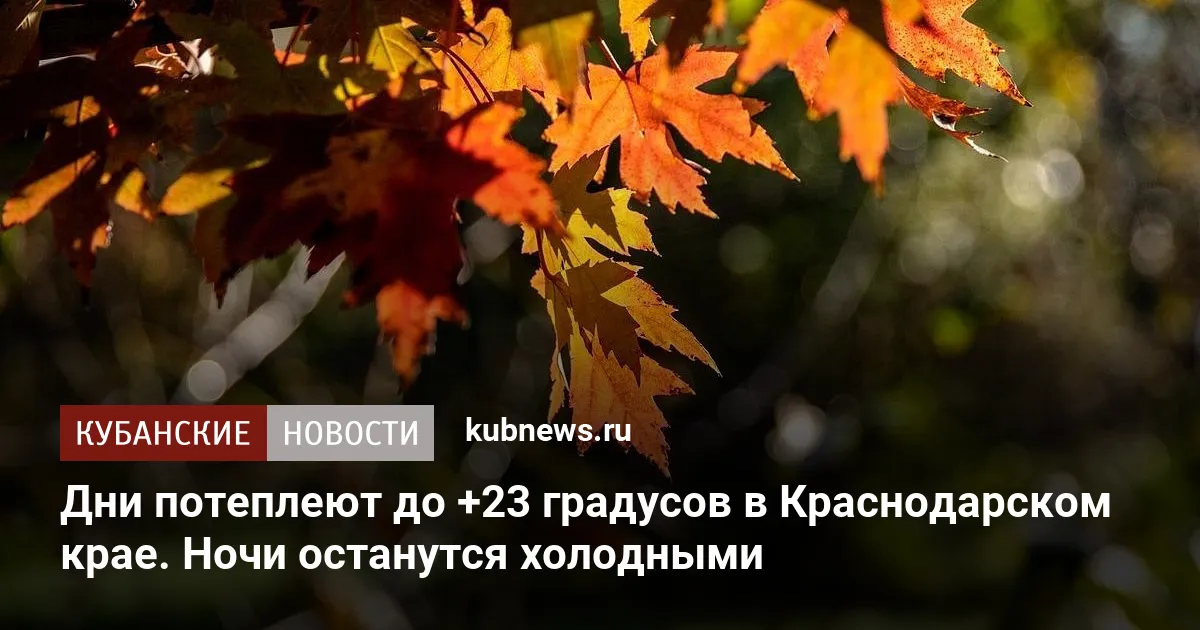 Дни потеплеют до +23 градусов в Краснодарском крае. Ночи останутся холодными